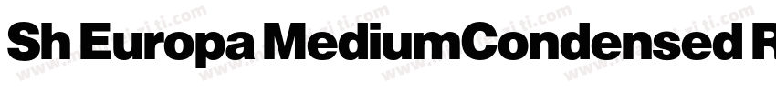 Sh Europa MediumCondensed Regular字体转换